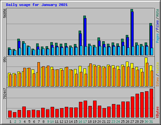 Daily usage for January 2021