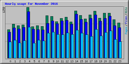 Hourly usage for November 2016