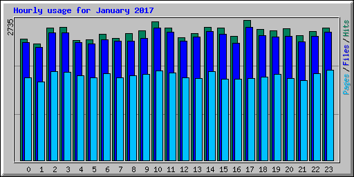 Hourly usage for January 2017