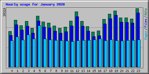 Hourly usage for January 2020