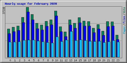 Hourly usage for February 2020