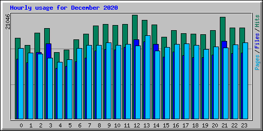 Hourly usage for December 2020