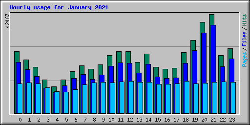 Hourly usage for January 2021