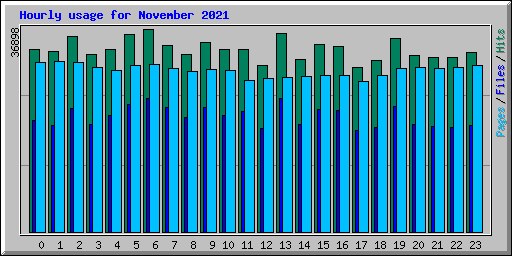 Hourly usage for November 2021