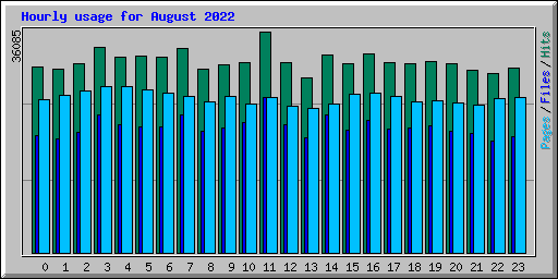 Hourly usage for August 2022