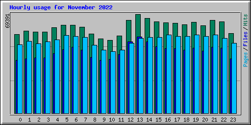 Hourly usage for November 2022