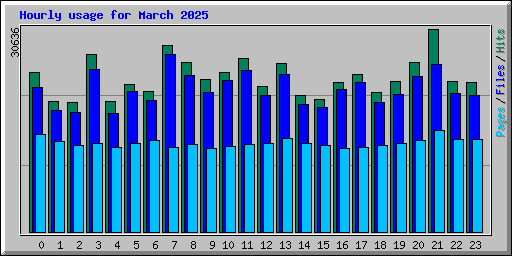 Hourly usage for March 2025