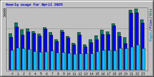 Hourly usage for April 2025